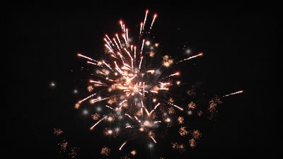 #23881 盆花0.8 36发数