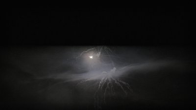 #24100 Cakes 0.8 7 shots