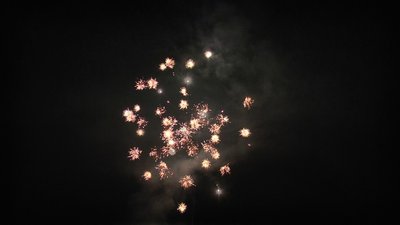 #24093 Cakes 0.8 20 shots