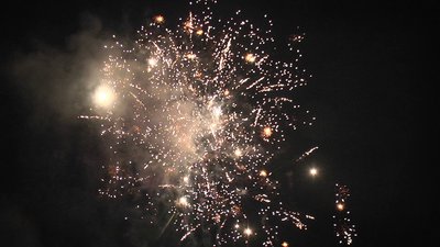 #24311 Module Cakes 0.8 25 shots