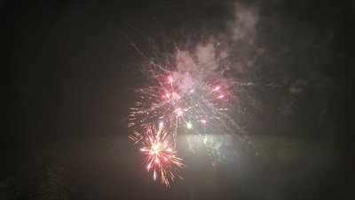 #24314 Module 盆花1.0 36发数