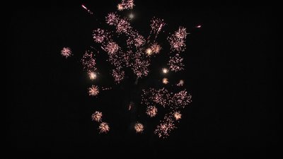 #24478 盆花0.8 64发数