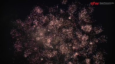 #24474 盆花60x0.8"/4x1.0" 64发数