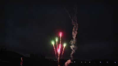 #24434 Cakes 0.3 96 shots