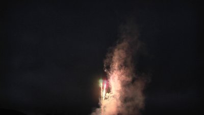 #24433 Cakes 0.3 48 shots