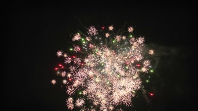 #23899 盆花1.0 40发数