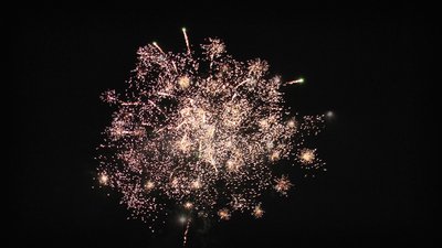 #25155 盆花1.0 19发数