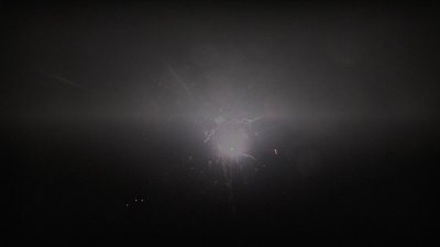 #25153 盆花0.8 12发数