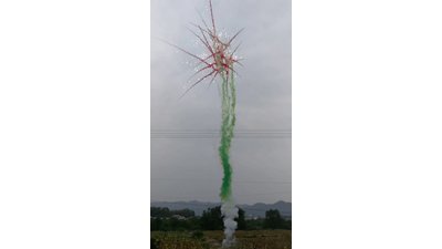 #24674 烟雾 盆花 1.2" 25.0 shots