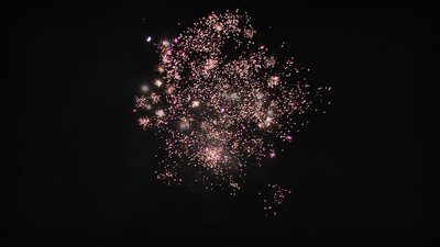 #24474 盆花60x0.8"/4x1.0" 64发数