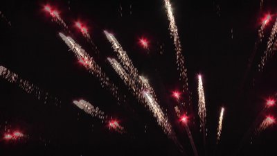 #24471 Cakes 0.8 16 shots