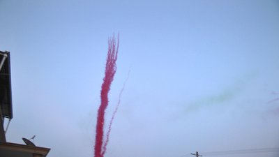 #24673 烟雾 盆花 1.2" 25.0 shots