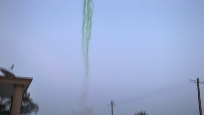 #24674 烟雾 盆花 1.2" 25.0 shots