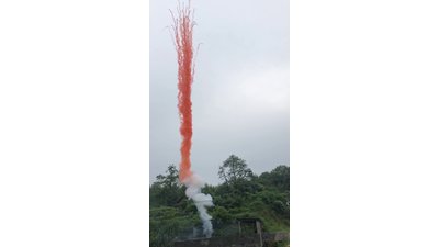 #24724 烟雾 盆花 1.2" 25.0 shots