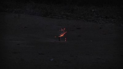 #24725 Pétards FIRECRACKERS