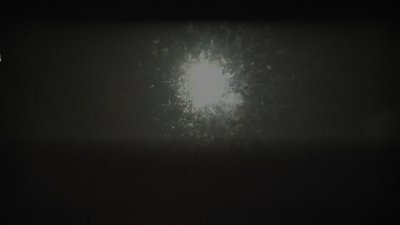 #24739 Cakes 1.0 19 shots