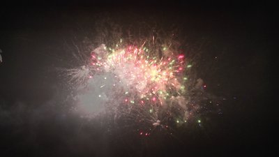 #24736 Cakes 1.0 49 shots