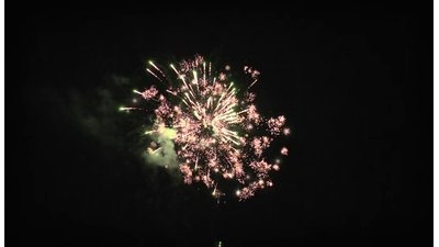 #20170 盆花1.2 101发数