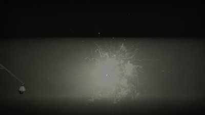 #24752 盆花0.8 36发数