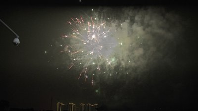 #24751 盆花1.0 36发数