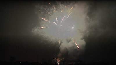 #24750 盆花1.2 36发数