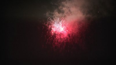 #24741 Cakes 0.8 49 shots