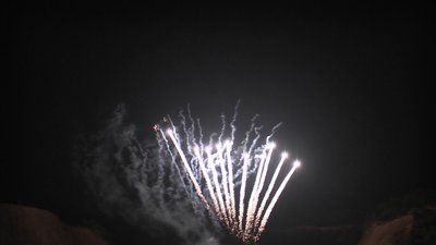 #24769 盆花1.2 100发数