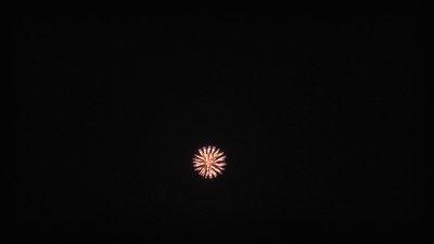 #20318 Shell 4.0"