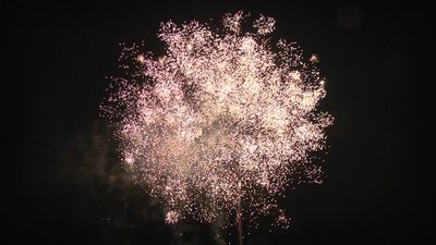 #24668 Cakes 1.0 288 shots