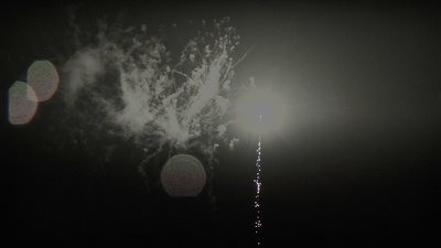 #24655 Cakes 0.8 10 shots