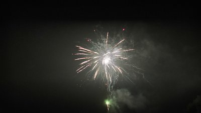 #24845 盆花1.0 25发数