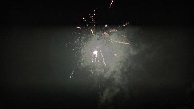 #24752 盆花0.8 36发数