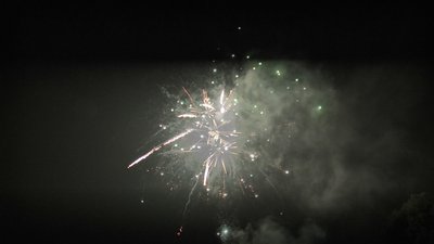 #24751 盆花1.0 36发数