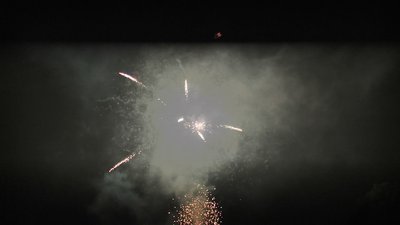 #24750 盆花1.2 36发数