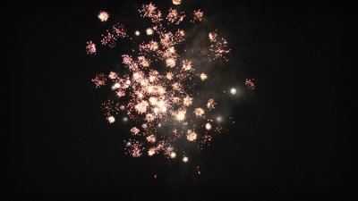 #7303 盆花0.8 16发数