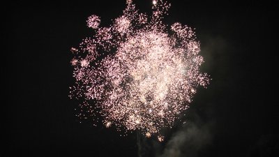 #24731 Compact 0.8 100 coups