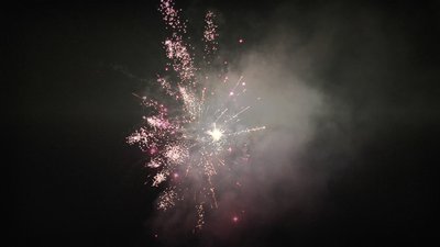 #24431 盆花1.2 25发数