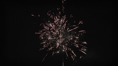 #24427 盆花1.0 16发数