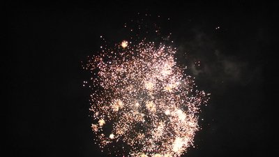 #24913 盆花1.2 16发数