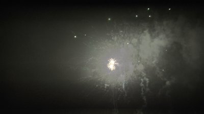 #24932 Cakes 1.0 100 shots