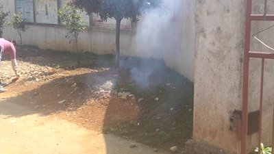 #23861 BUNCH OF FIRECRACKERS Bunch of firecrackers