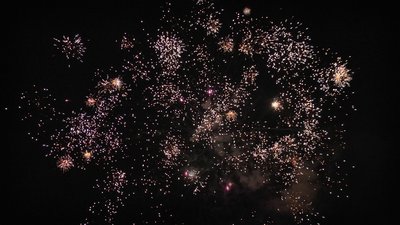 #24474 盆花60x0.8"/4x1.0" 64发数