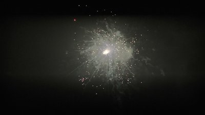 #24954 盆花0.8 16发数