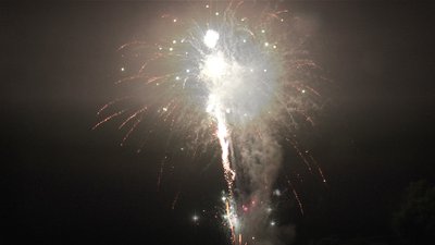 #24952 盆花1.2 100发数