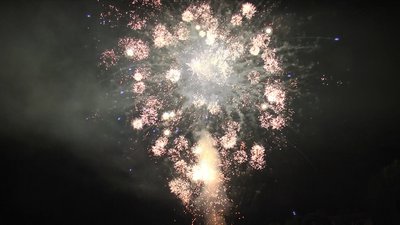 #24877 盆花1.2 100发数