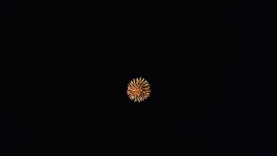 #20250 Shell 5.0"