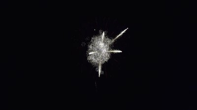 #21902 Shell 4.0"