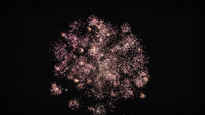 #24474 盆花60x0.8"/4x1.0" 64发数