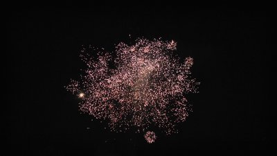 #24943 Module 盆花1.1 25发数