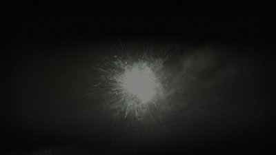 #24946 Module 盆花1.1 48发数